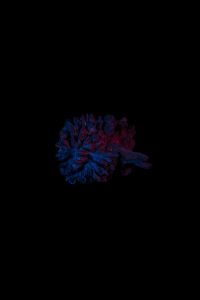 Agusti_Deluca_025