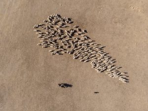 EstanciaSara_EstanciaSara_DJI_0680_LOW