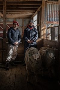 EstanciaSara_EstanciaSara_DSC02141_LOW