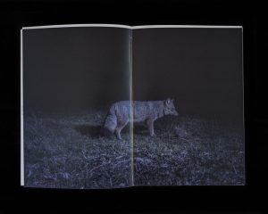 AGUA_NEGRA_FOTOLIBRO_6